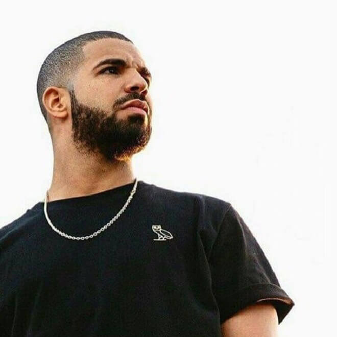 Drake Beard Styles