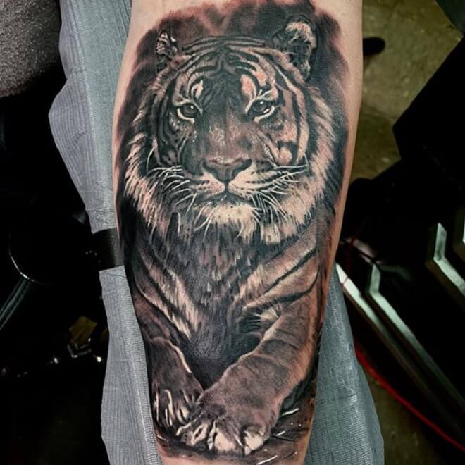 Tiger Sitting Down Tattoo