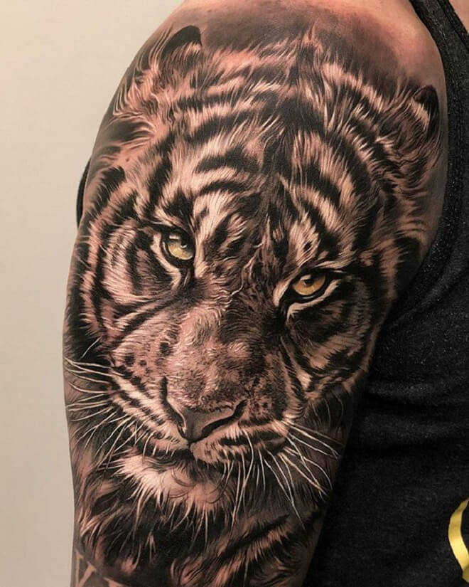 Tiger Upper Arm Tattoo